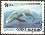 Stamps : Africa : Guinea_Bissau :  fauna, balaenoptera musculus