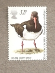 Stamps United Kingdom -  100 Aniv de la Sociedad Protectora de Aves