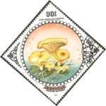 Stamps Asia - Mongolia -  flora, cantharellus cibarius