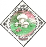 Stamps Asia - Mongolia -  flora, tricholoma mongolica