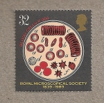 Stamps United Kingdom -  150 Aniv. Sociedad Microscopios