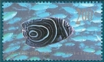 Stamps China -  Peces tropicales