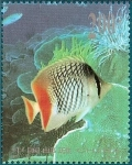 Stamps China -  peces tropicales