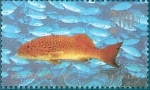 Stamps : Asia : China :  peces tropicales