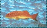 Stamps China -  peces tropicales