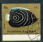 Sellos de Asia - Emiratos �rabes Unidos -  Fauna marina