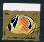 Stamps : Asia : United_Arab_Emirates :  Fauna marina