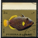 Stamps Asia - United Arab Emirates -  Fauna marina