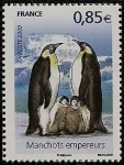 Stamps France -  Pingüino Emperador