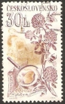 Stamps Czechoslovakia -  flora, trebol