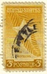 Stamps United States -  USA 1948 Scott 969 Sello Estrella de Oro y Madres sobre palmera usado Estados Unidos Etats Unis