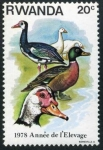 Stamps Rwanda -  Patos