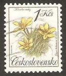 Sellos del Mundo : Europa : Checoslovaquia : 2898 - Flor, gagea bohemica