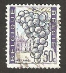 Stamps Belgium -  hoeilaart