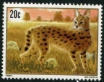 Stamps Rwanda -  Felino