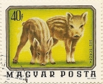 Stamps Hungary -  SUS SCROFA