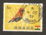 Sellos del Mundo : Africa : Ghana : fauna, pajaro