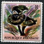 Stamps Rwanda -  Hongos