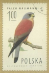 Stamps : Europe : Poland :  Halcón