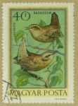 Stamps : Europe : Hungary :  Pájaros
