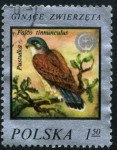 Stamps : Europe : Poland :  Halcón