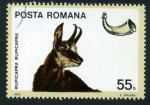 Stamps Romania -  Caza Mayor