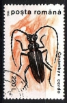 Stamps : Europe : Romania :  Escarabajo