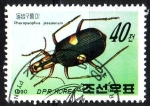 Stamps : Asia : North_Korea :  Escarabajo