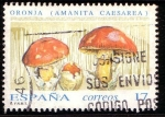 Stamps Spain -  Setas