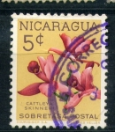 Stamps : America : Nicaragua :  Cayetana skinner