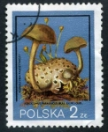 Stamps : Europe : Poland :  Hongos