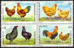 Stamps : America : Uruguay :  GALLINAS