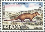 Sellos de Europa - Espa�a -  ESPAÑA 1972 2105 Sello Nuevo Serie Fauna Hispanica Meloncillo c/señal charnela