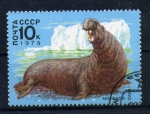 Stamps Russia -  Morsa