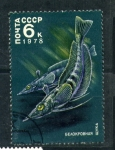 Stamps Russia -  Esturión