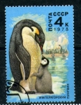 Stamps : Europe : Russia :  Pingüino emperador