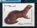 Stamps : Europe : Russia :  Mustelido