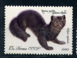 Stamps : Europe : Russia :  Mustelido