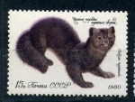 Sellos del Mundo : Europe : Russia : Mustelido