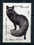 Stamps Russia -  Zorro