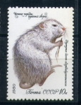 Stamps : Europe : Russia :  Roedor
