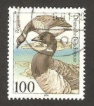 Stamps Germany -  1369 - Protección de la naturaleza, animal marino proteguido, branta bernicla