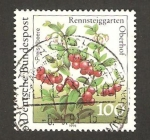 Stamps Germany -  1340 - planta de jardín botánico de rennsteiggarten, oberhof, airelles