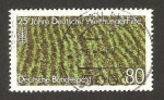 Sellos de Europa - Alemania -  1177 - 25 Anivº de la ayuda alimentaria alemana al mundo, campo de arroz