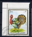 Stamps United Arab Emirates -  Pavo