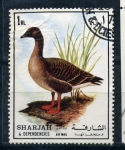 Sellos de Asia - Emiratos rabes Unidos -  Ganso