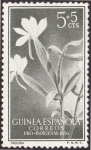 Stamps Equatorial Guinea -  Guinea española **