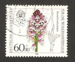 Stamps Germany -  orquideas, orchis ustulata