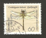 Sellos de Europa - Alemania -  libélula, cordulegaster boltonii