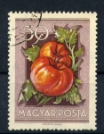 Stamps Hungary -  Tomates